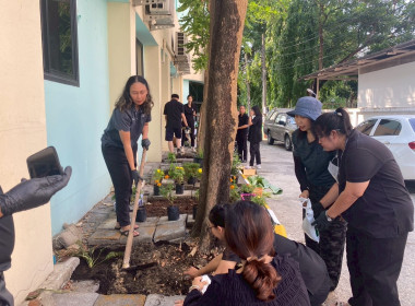 “ปลูกพืชผักสวนครัว” ภายใต้โครงการส่งเสริมองค์กรคุณธรรม ... พารามิเตอร์รูปภาพ 16